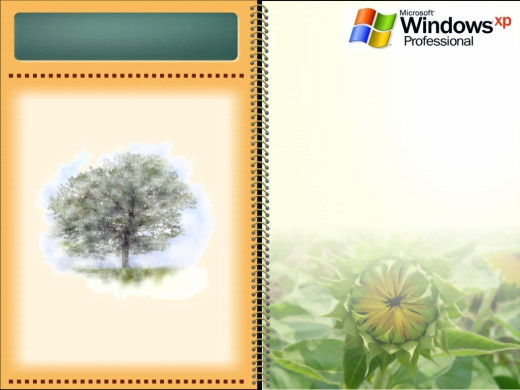 382242 (a): :1024x768